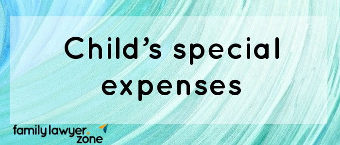 14- Child’s special expenses